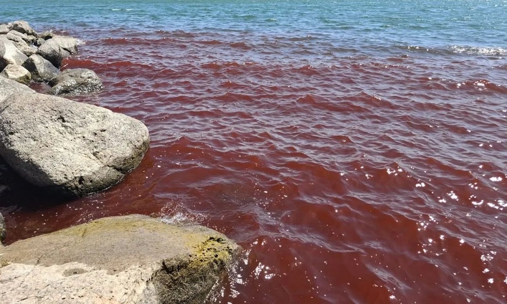 «ΚΟΚΚΙΝΙΣΑΝ» τα νερά στη Θάλασσα της Γαλιλαίας – Ποιος είναι ο «λόγος»