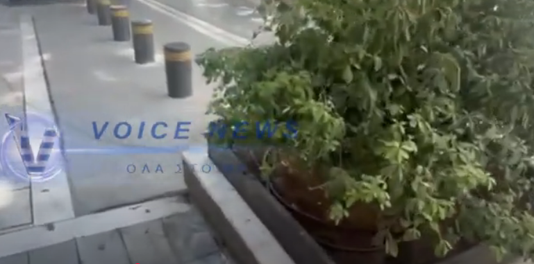 Χρυσά δέντρα και τσιμεντένιο πότισμα! Το φιάσκο Μπακογιάννη στη Βουκουρεστίου