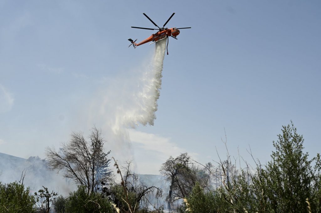 Πυρκαγιά σε αγροτοδασική έκταση στην Εύβοια