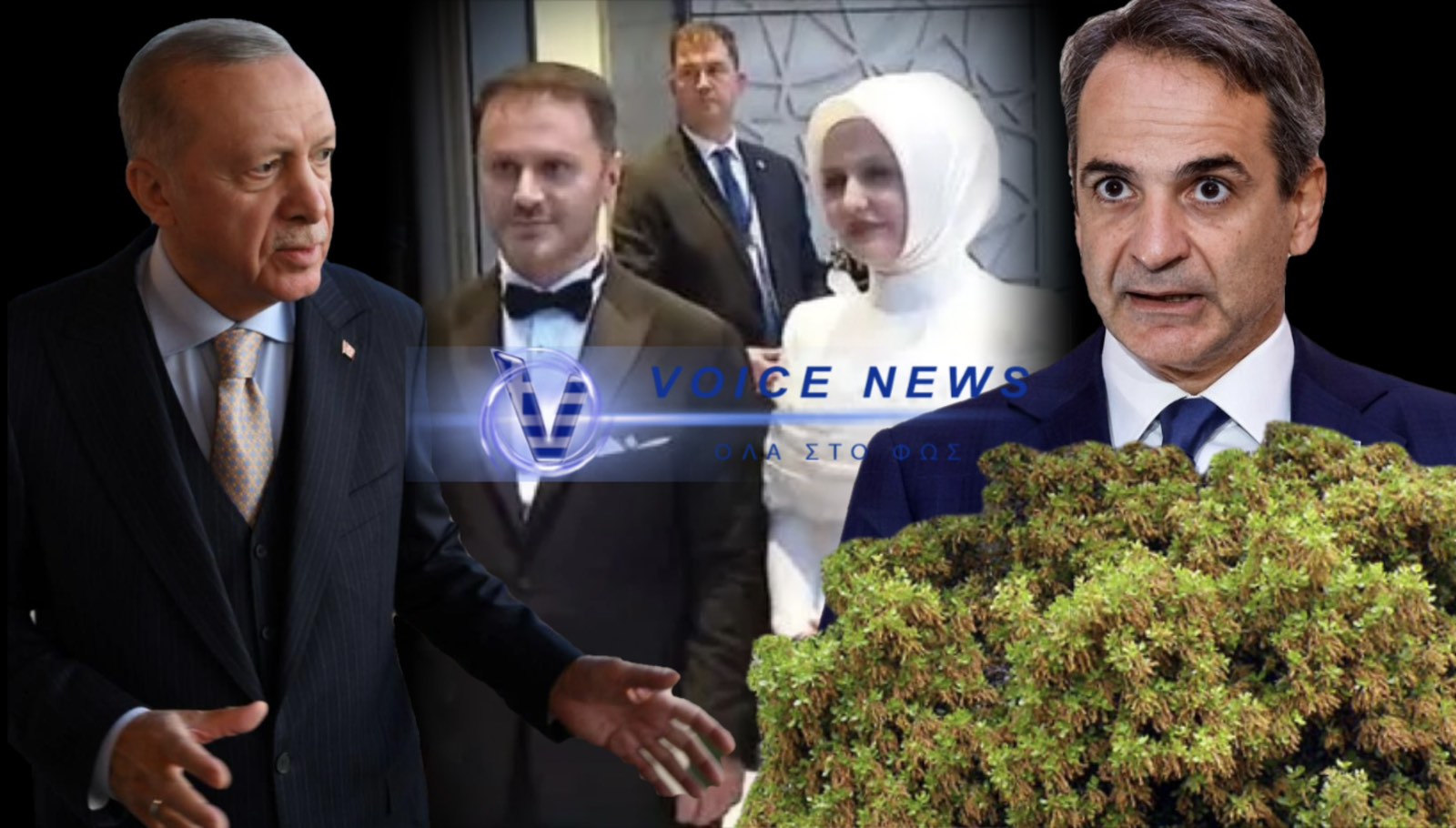 ΟΛΗ Η ΑΛΗΘΕΙΑ ΓΙΑ ΤΟ «ΦΤΥΣΙΜΟ» ΕΡΝΤΟΓΑΝ ΣΕ ΜΗΤΣΟΤΑΚΗ! ΑΦΗΣΕ ΤΑ «ΠΟΥΡΝΑΡΙΑ» ΚΑΙ ΠΗΓΕ ΣΤΟ ΓΑΜΟ!!!