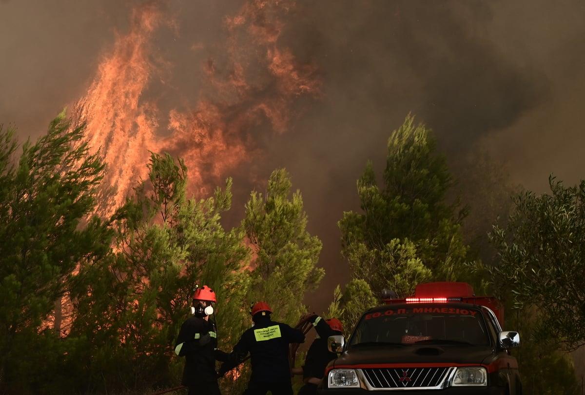 Βόλος – Συναγερμός στην Πυροσβεστική για φωτιά μεταξύ Διμηνίου και Σέσκλου