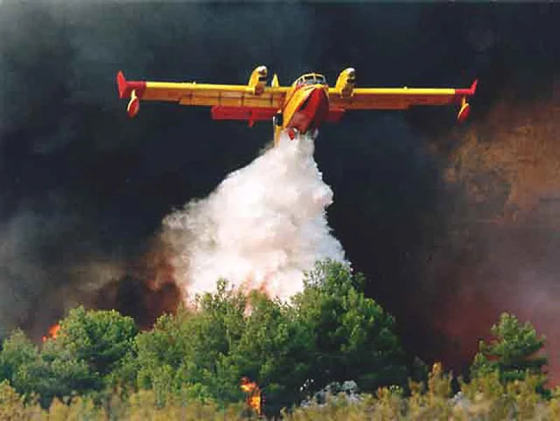 Φωτιά σε δασική έκταση στην Αχαΐα – Ενισχύθηκαν οι πυροσβεστικές δυνάμεις