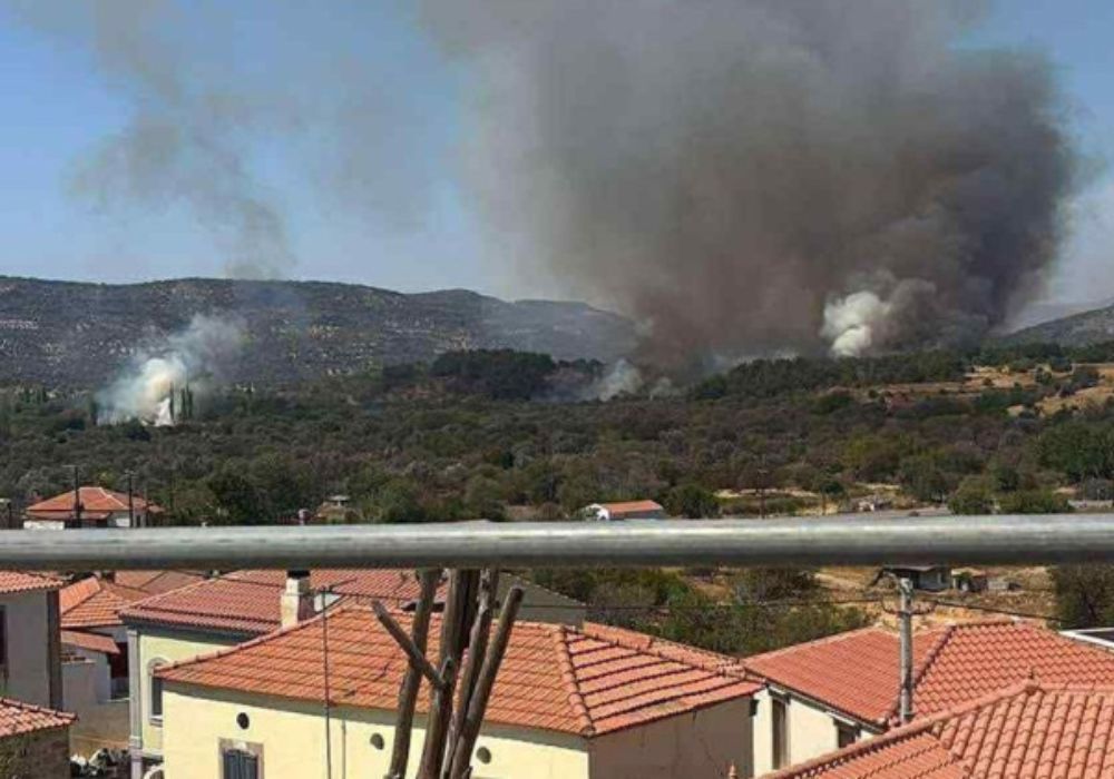 Συναγερμός στην Πυλαία Θεσσαλονίκης: Μεγάλη φωτιά – Ενεργοποιήθηκε το 112, επιχειρούν 7 εναέρια μέσα!