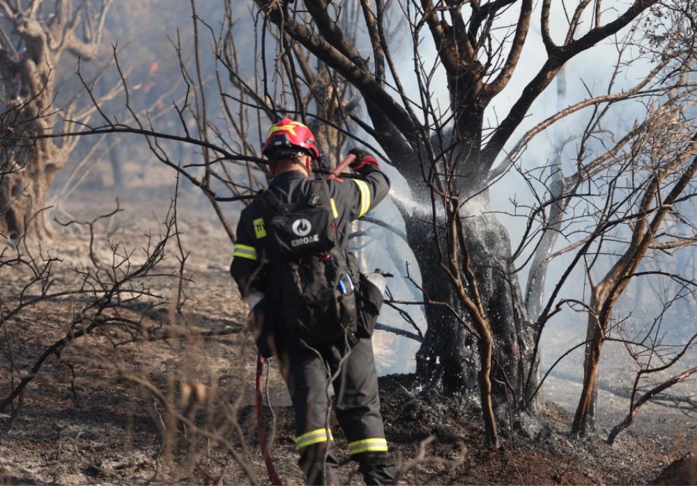 Σοκ στην Ξάνθη: Συνελήφθη εμπρηστής για 11 πυρκαγιές