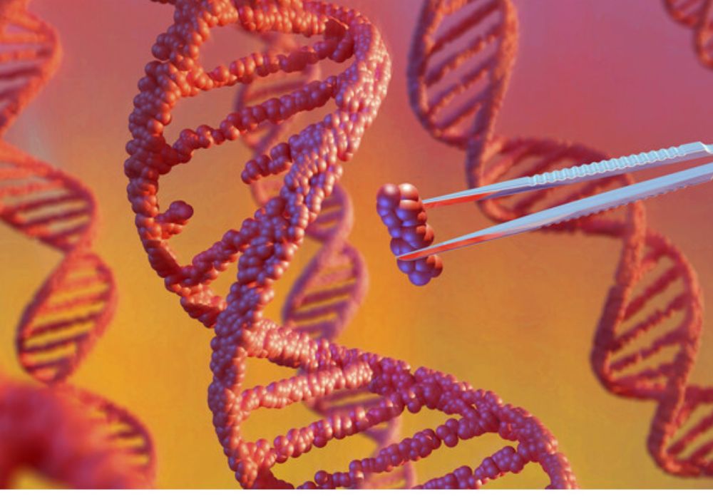 Κρυμμένοι ιοί στο DNA μας: Η επόμενη επανάσταση στην Ιατρική;