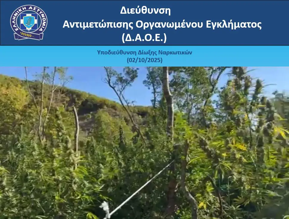 «Χασισοφυτεία» με πάνω από 1.600 «δενδρύλλια» εντοπίστηκε σε δασώδη περιοχή (ΦΩΤΟ)