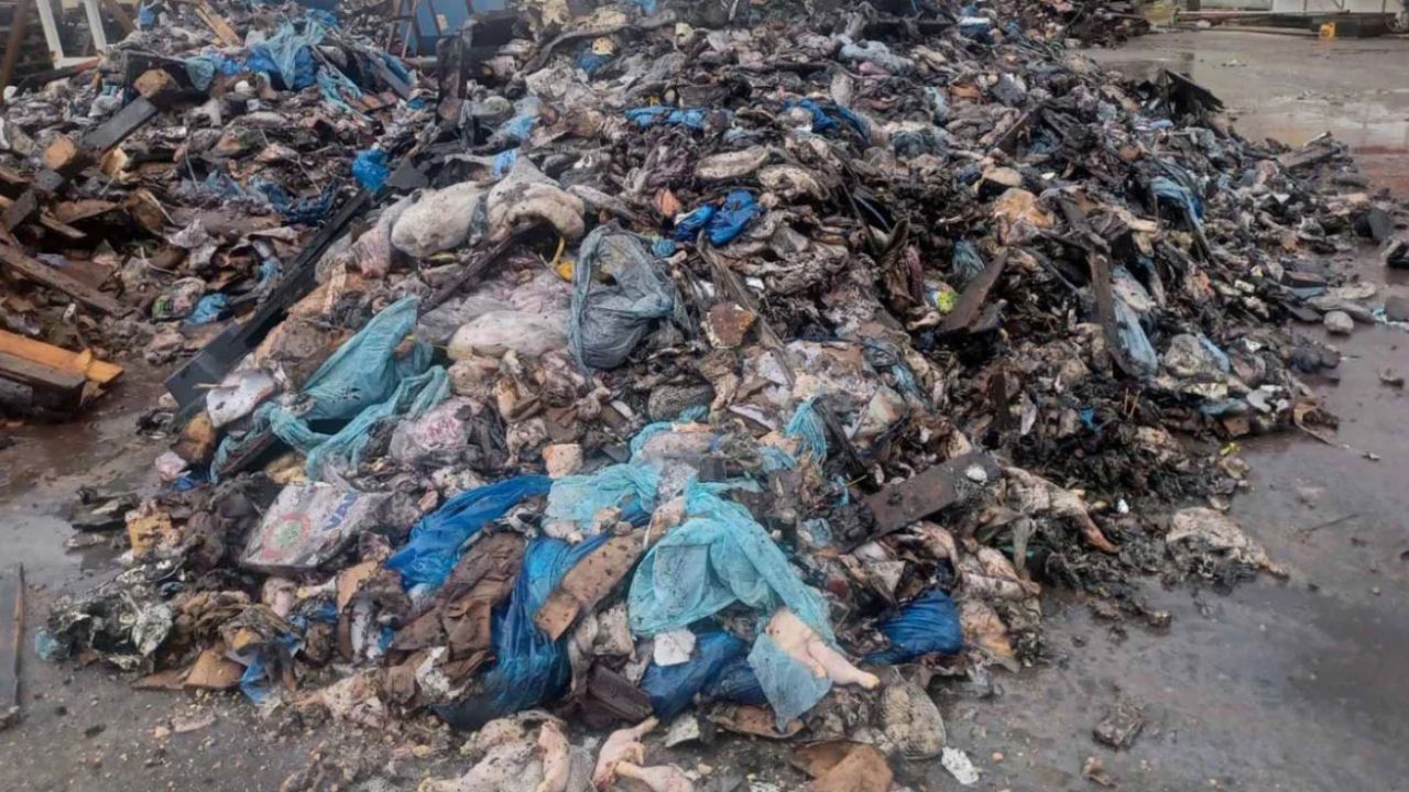 Περιβαλλοντικό σοκ στην Πρέβεζα: Τόνους ζωικών αποβλήτων έθαψαν σε αυλή εταιρείας – Τρεις συλλήψεις και αποτρόπαιες εικόνες