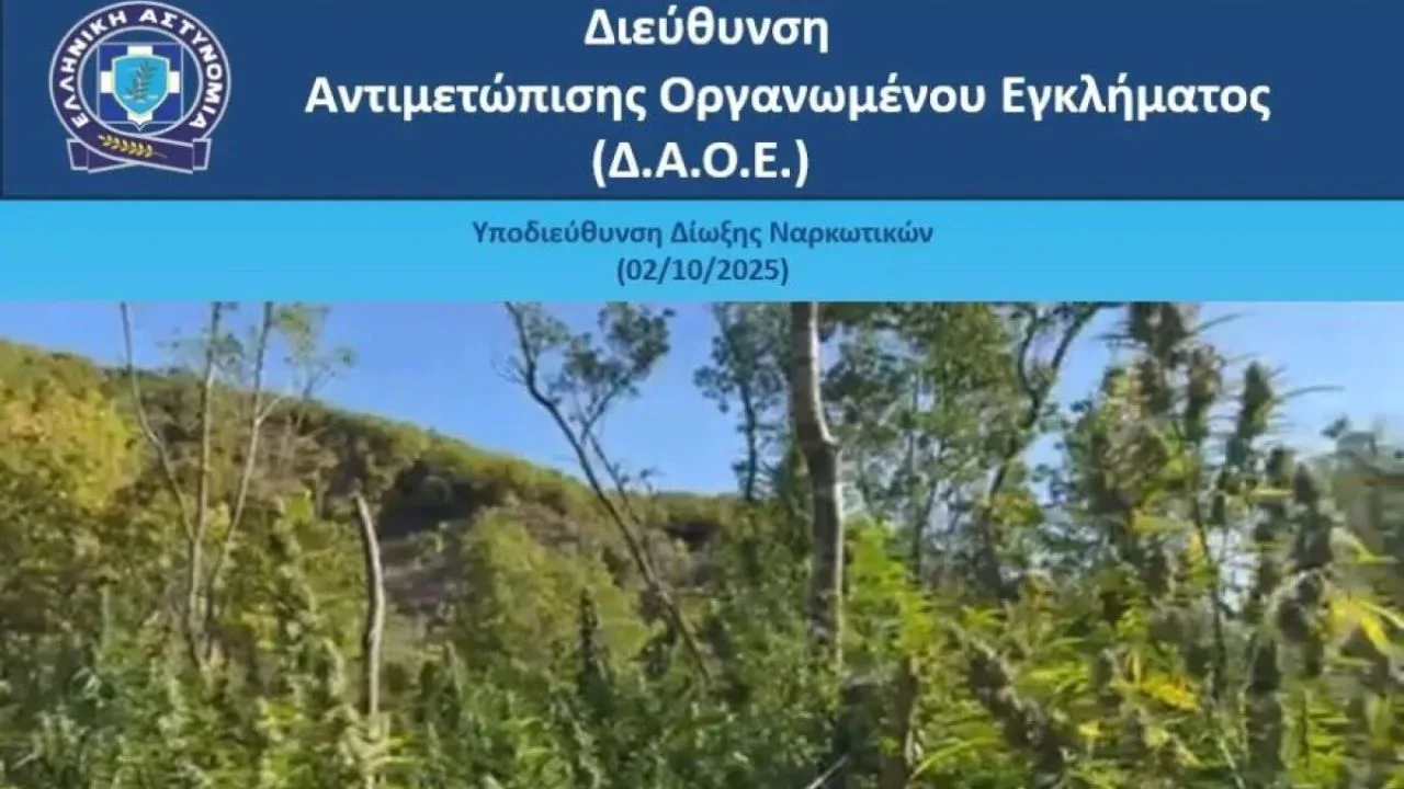 Στα σύνορα του Πωγωνίου: Αλβανοί καλλιεργούσαν 1.650 δενδρύλλια κάνναβης