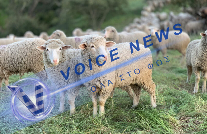 Η Κομισιον “αδειάζει’ το υπουργείο Ανάπτυξης ( Βίντεο)