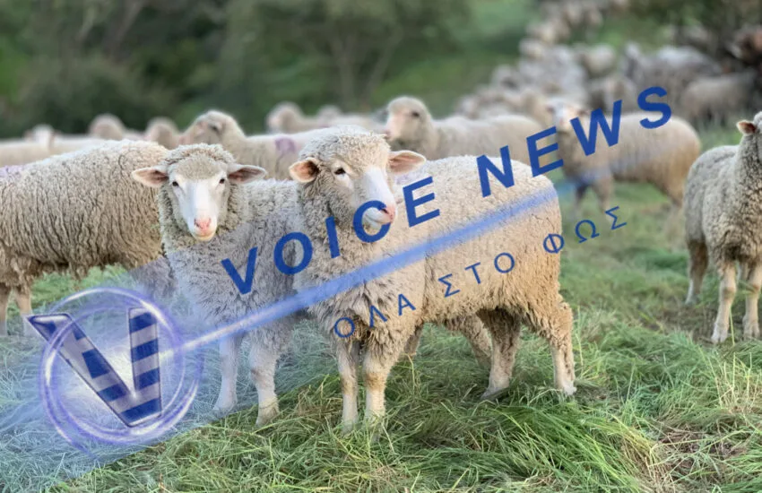 Η Κομισιον “αδειάζει’ το υπουργείο Ανάπτυξης ( Βίντεο)