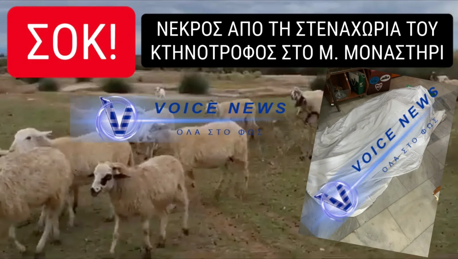 ΑΠΟΚΛΕΙΣΤΙΚΟ – VOICENEWS «ΤΟ Κ@ΛΟΚΡΑΤΟΣ ΜΟΥ ΠΑΙΡΝΕΙ ΤΑ ΖΩΑ ΓΙΑ ΝΑ ΤΑ ΣΦΑΞΕΙ» ΕΙΠΕ ΚΑΙ ΞΕΨΥΧΗΣΕ ΚΤΗΝΟΤΡΟΦΟΣ ΑΠΟ ΤΗ ΣΤΕΝΑΧΩΡΙΑ ΤΟΥ!