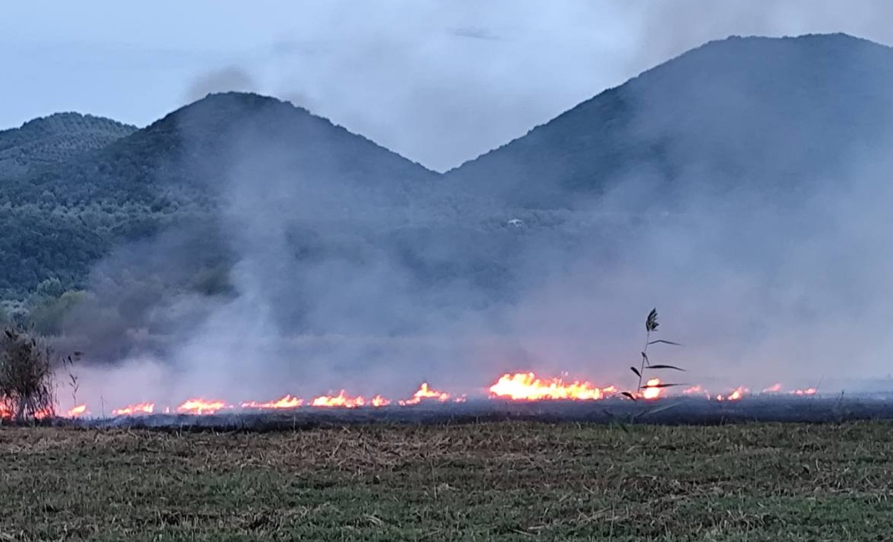 Δύο φωτιές σε περιοχές της Αιτωλοακαρνανίας
