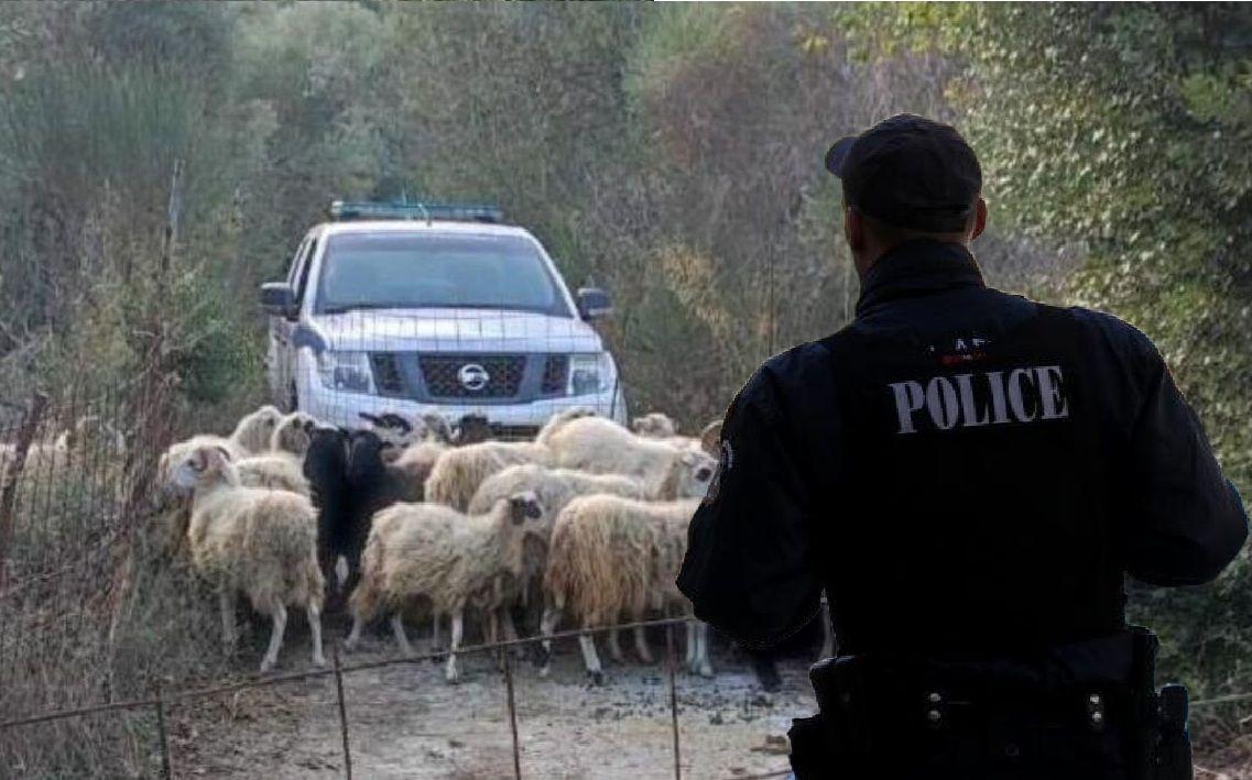 «ΠΤ@ΝΣ ΘΑ ΣΑΣ…»! Επίθεση σε ελεγκτές του ΟΠΕΚΕΠΕ στην Κρήτη — Κτηνοτρόφος τους εξύβρισε και τους απείλησε