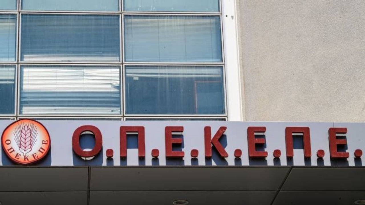 ΠΡΟΓΡΑΜΜΑ ΟΠΕΚΕΠΕ – ΕΡΧΟΝΤΑΙ ΦΡΑΠΕΣ ΚΑΙ ΧΑΣΑΠΗΣ