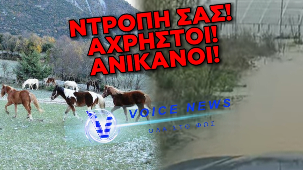 «ΝΤΡΟΠΗ ΣΑΣ ΞΕΦΤΙΛΙΣΜΕΝΟΙ!» ΠΟΛΙΤΗΣ ΞΕΣΠΑ ΓΙΑ ΤΗΝ ΠΛΗΜΜΥΡΑ ΣΤΟΝ ΙΠΠΙΚΟ ΟΜΙΛΟ ΙΩΑΝΝΙΝΩΝ (ΒΙΝΤΕΟ)
