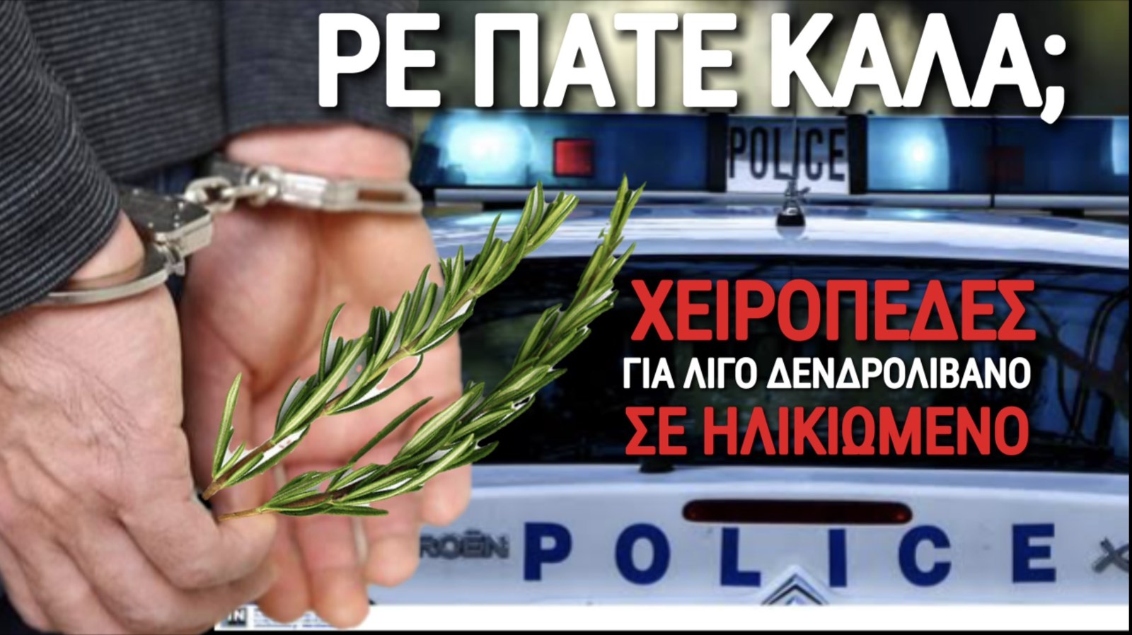 «ΤΟ ΚΡΑΤΟΣ ΔΙΚΑΙΟΥ ΕΓΙΝΕ ΚΡΑΤΟΣ ΝΤΡΟΠΗΣ» ΦΥΛΑΚΗ ΓΙΑ ΕΝΑ ΚΛΑΔΑΚΙ ΔΕΝΤΡΟΛΙΒΑΝΟΥ! ΔΕΙΤΕ ΤΟ ΒΙΝΤΕΟ
