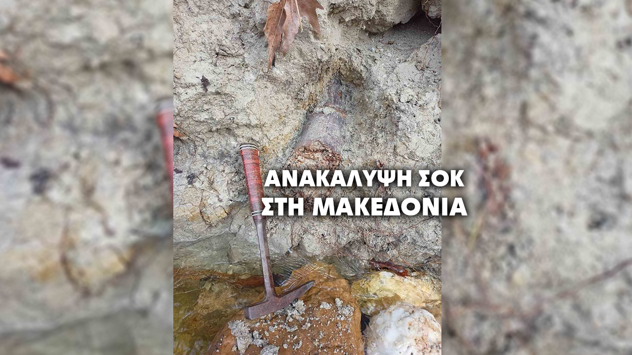 Μαμούθ του Νότου στη Μακεδονία: Σημαντική ανακάλυψη από το ΑΠΘ στον Δήμο Λαγκαδά
