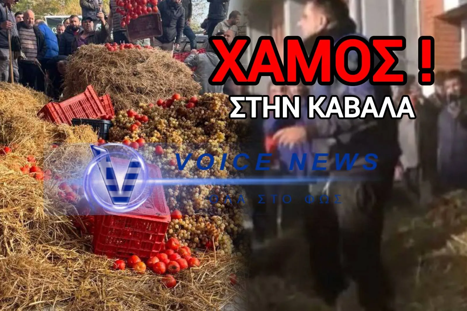 ΧΑΜΟΣ ΣΤΗΝ ΚΑΒΑΛΑ! ΑΓΡΟΤΕΣ ΚΑΙΝΕ ΑΧΥΡΑ, ΠΕΤΑΝΕ ΝΤΟΜΑΤΕΣ ΚΑΙ ΣΤΑΦΥΛΙΑ, ΧΥΝΟΥΝ ΓΑΛΑ ΣΤΟ ΔΡΟΜΟ