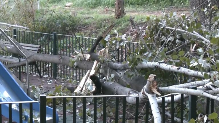 Χαϊδάρι: Παιδική χαρά εκτός λειτουργίας μετά από πτώση δέντρου!