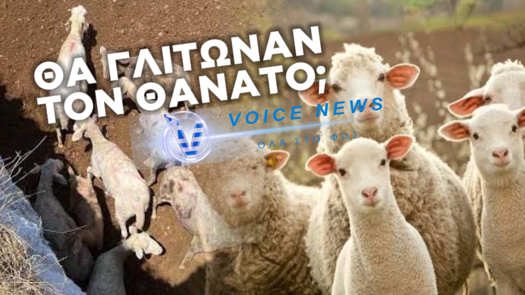 ΑΝ ΔΗΛΩΝΑΜΕ ΤΑ ΚΟΠΑΔΙΑ ΖΩΑ ΣΥΝΤΡΟΦΙΑΣ ΘΑ ΤΑ ΓΛΙΤΩΝΑΜΕ ΑΠΟ ΤΗ ΒΑΡΒΑΡΗ ΘΑΝΑΤΩΣΗ; ΤΟΤΕ ΔΕΝ ΘΑ ΥΠΗΡΧΕ ΕΥΛΟΓΙΑ; H AΠΑΝΤΗΣΗ ΘΑ ΠΡΟΚΑΛΕΣΕΙ ΣΥΖΗΤΗΣΕΙΣ