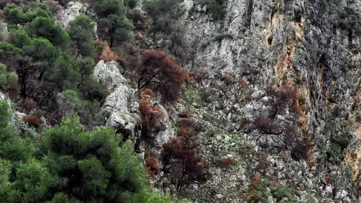 Μακάβριο εύρημα σε δύσβατη περιοχή της Σικίνου: Σκελετός γυναίκας που αγνοούνταν από το 2024