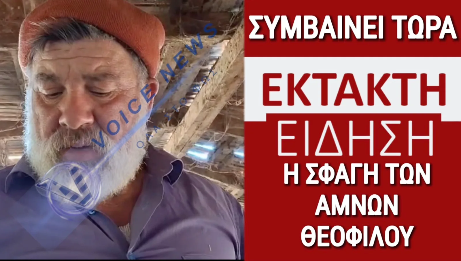 ΤΩΡΑ ΣΦΑΖΟΥΝ ΤΑ ΖΩΑ! ΤΑΦΟΠΛΑΚΑ ΣΤΟ ΜΑΝΤΡΙ ΤΟΥ ΤΣΟΠΑΝΗ ΑΠΟ ΤΟ ΜΙΚΡΟ ΜΟΝΑΣΤΗΡΙ! (ΑΠΟΚΛΕΙΣΤΙΚΑ ΒΙΝΤΕΟ & ΕΙΚΟΝΕΣ)