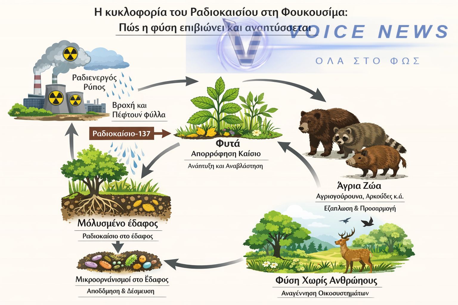 Φουκουσίμα: Οι πόλεις που πάγωσαν στο χρόνο – η φύση ανθίζει ενώ οι άνθρωποι διστάζουν να επιστρέψουν
