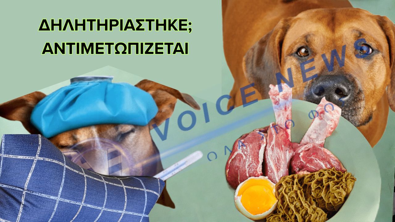 ΔΗΛΗΤΗΡΙΑΣΗ ΣΚΥΛΟΥ ΚΑΙ ΠΩΣ ΑΝΤΙΜΕΤΩΠΙΖΕΤΑΙ