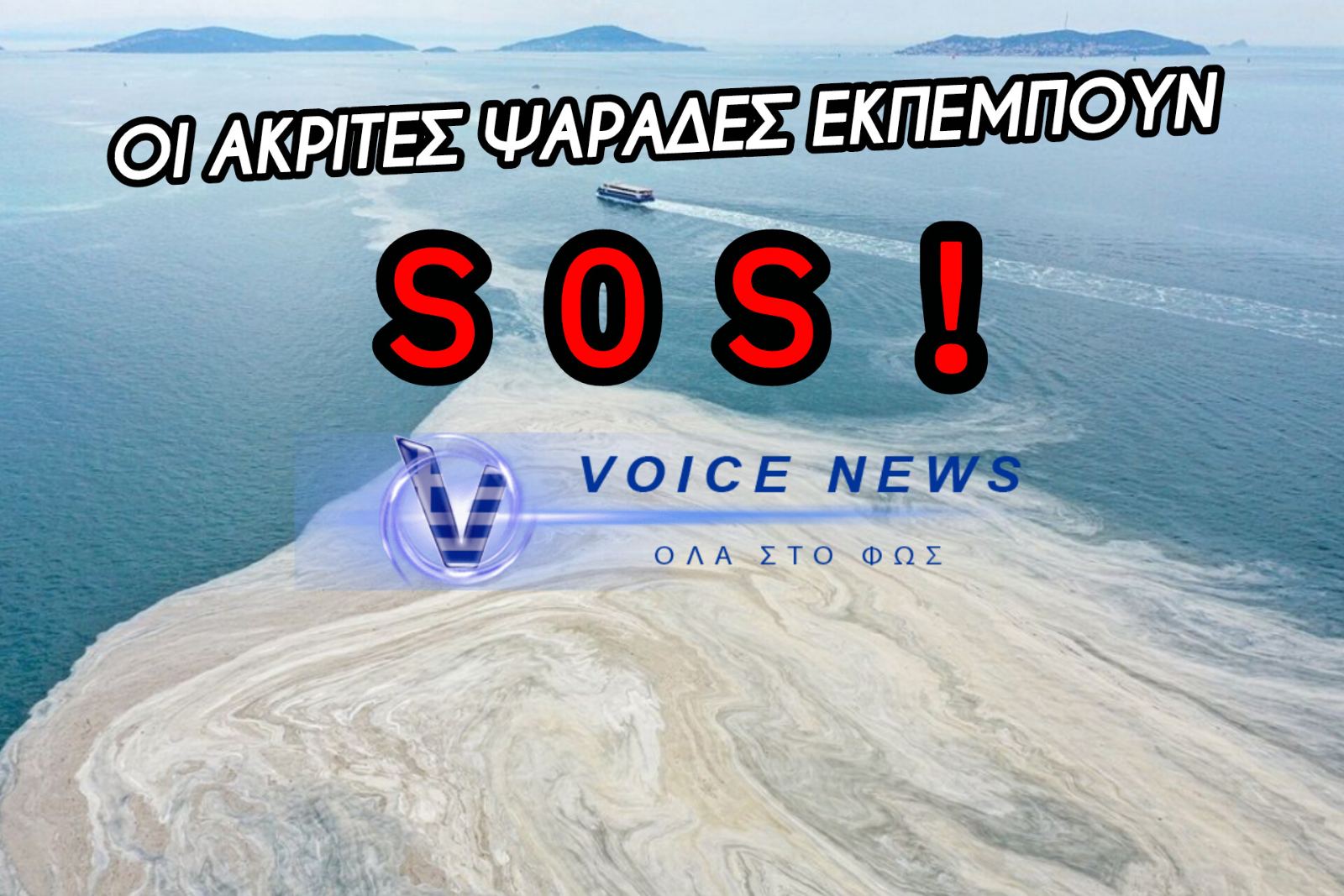 ΠΡΟΚΛΗΤΙΚΗ ΑΔΙΑΦΟΡΙΑ! Η ΚΥΒΕΡΝΗΣΗ ΑΦΗΝΕΙ ΤΟΥΣ ΨΑΡΑΔΕΣ ΝΑ ΠΕΙΝΑΣΟΥΝ ΕΞΑΙΤΙΑΣ ΤΗΣ ΤΟΥΡΚΙΑΣ