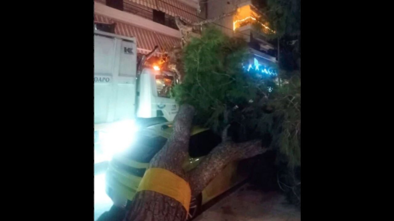 Μεγάλο πεύκο έπεσε σε απορριμματοφόρο και αυτοκίνητο στο Παλαιό Φάληρο – δείτε φωτογραφίες