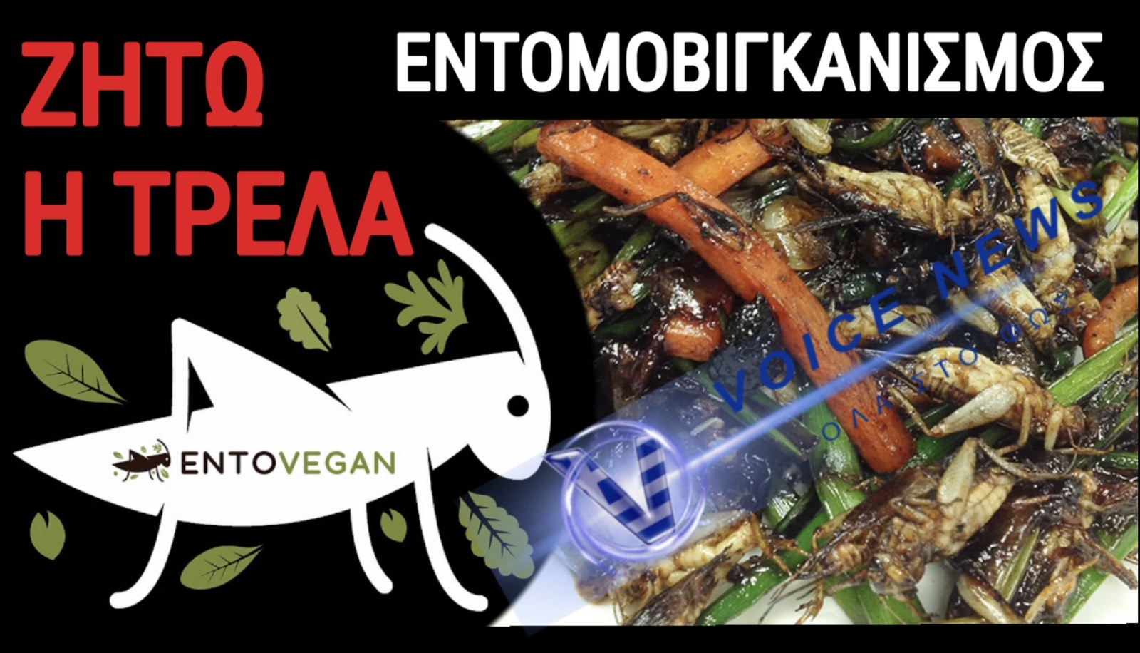 ΤΟ ΤΕΡΜΑΤΙΣΑΝ! ΕΡΧΕΤΑΙ Η ENTOVEGAN ΔΙΑΤΡΟΦΗ! ΑΣΤΕΡΕΣ ΤΟΥ ΧΟΛΙΓΟΥΝΤ ΣΤΟ ΠΑΙΧΝΙΔΙ!