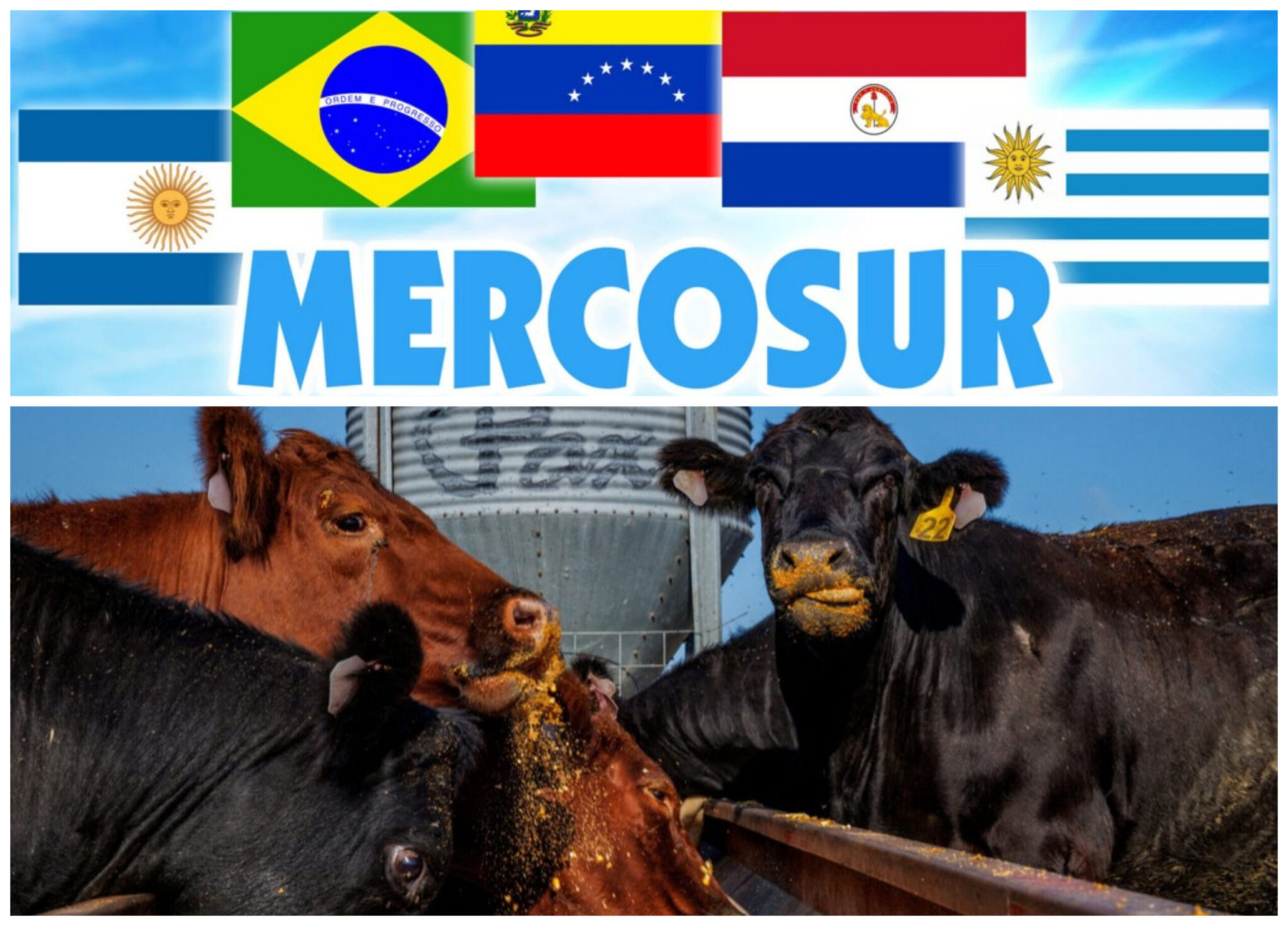 Συμφωνία Mercosur: ποιος κερδίζει πραγματικά από την κατάργηση των δασμών