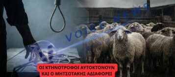 suicide-hunged