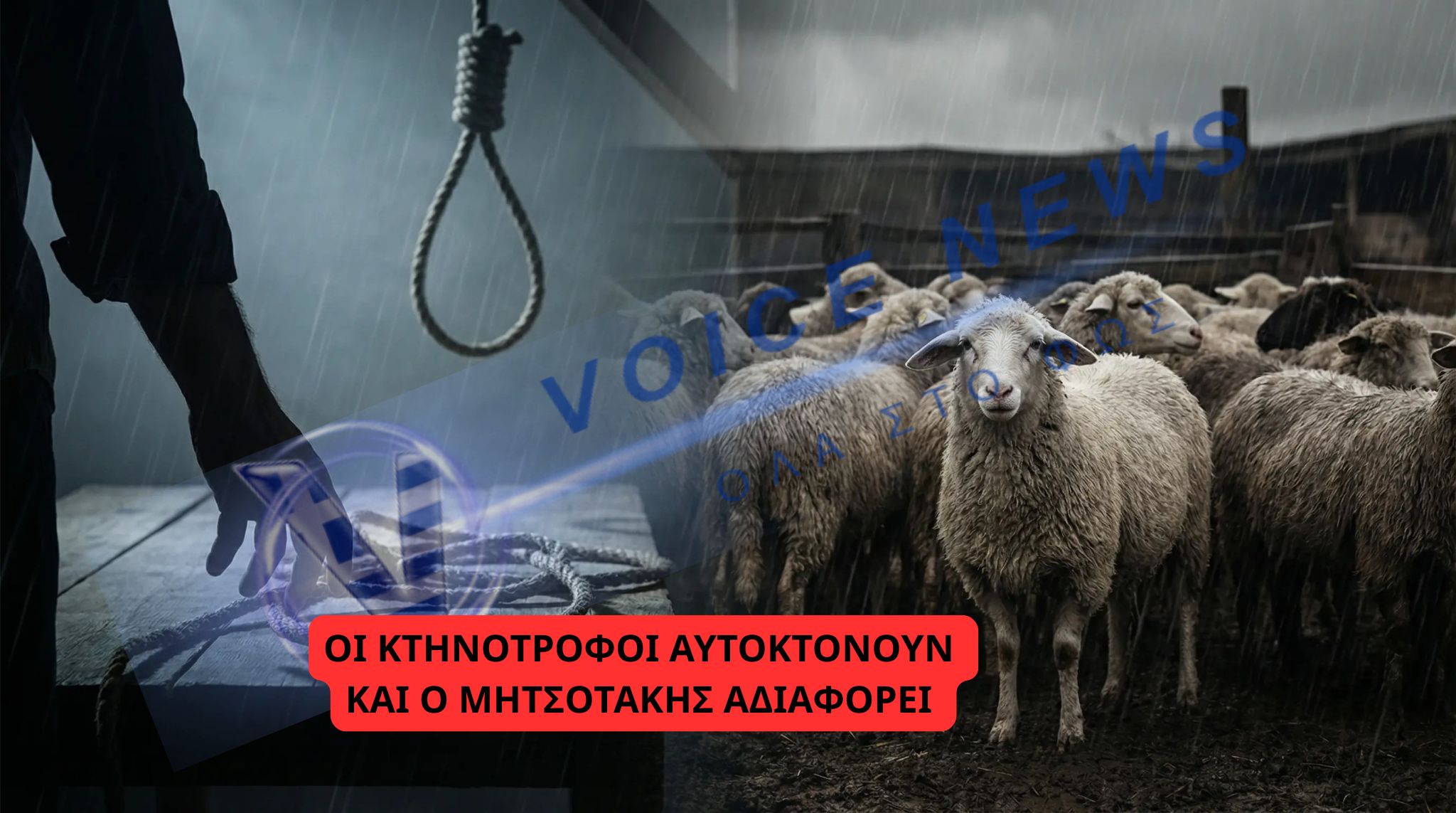 suicide-hunged