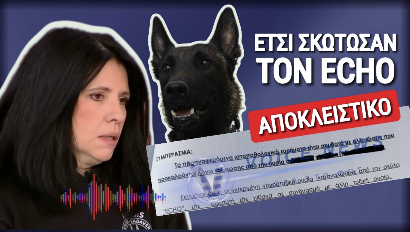 ΑΠΟΚΛΕΙΣΤΙΚΑ ΕΓΓΡΑΦΑ! ΜΕ ΔΥΟ ΔΗΛΗΤΗΡΙΑ ΣΚΟΤΩΣΑΝ ΤΟΝ ECHO!