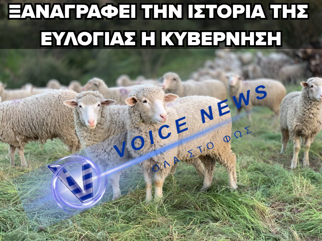 ΕΥΛΟΓΙΑ ΤΩΝ ΑΙΓΟΠΡΟΒΑΤΩΝ – ΒΕΒΗΛΩΝΟΥΝ ΤΗ ΜΝΗΜΗ ΤΩΝ ΝΕΚΡΩΝ