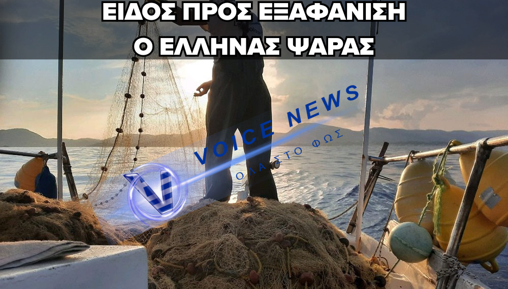 ΕΡΕΥΝΑ-ΚΟΛΑΦΟΣ ΤΗΣ WWF – ΠΕΘΑΙΝΕΙ Η ΑΛΙΕΙΑ