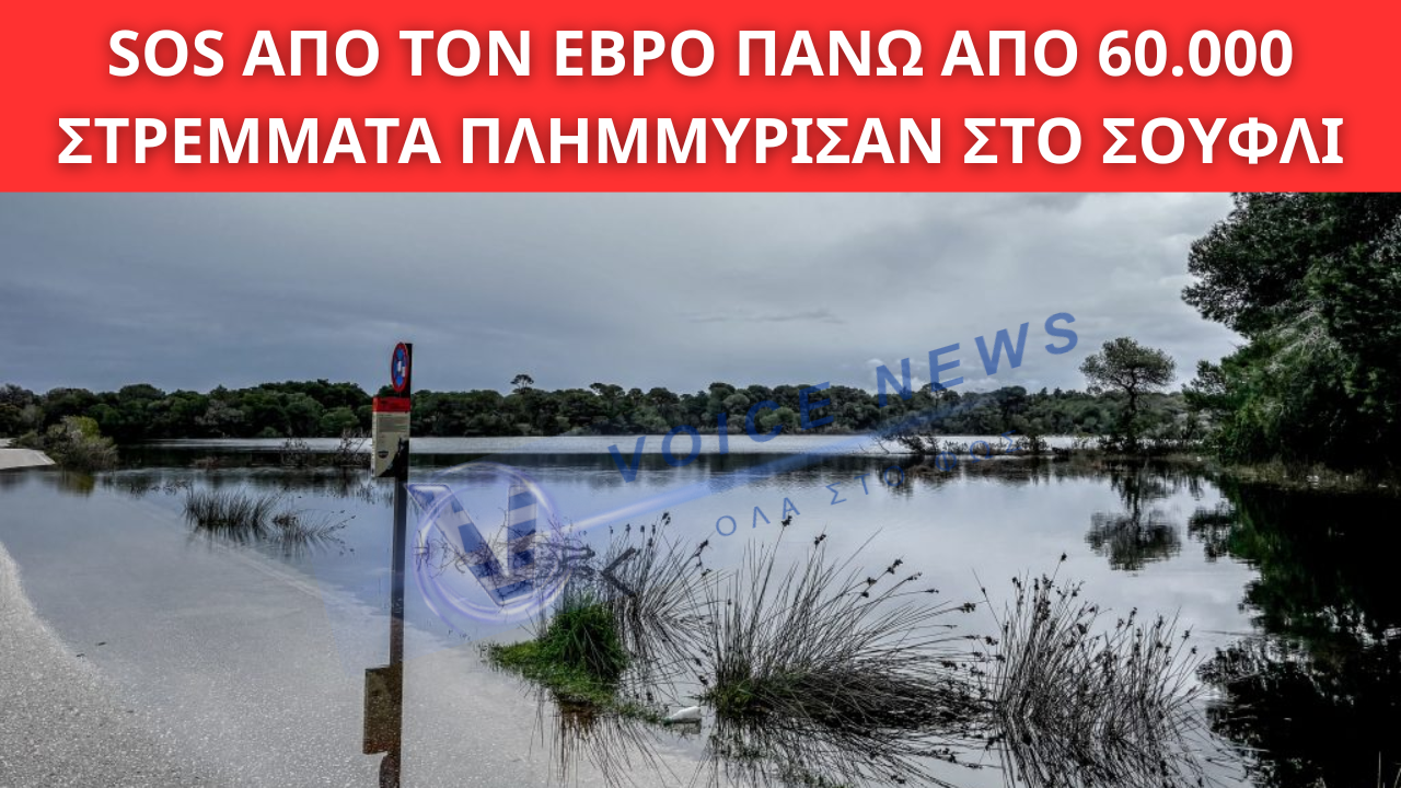 ΕΒΡΟΣ: ΠΑΝΩ ΑΠΟ 60.000 ΣΤΡΕΜΜΑΤΑ ΠΛΗΜΜΥΡΙΣΑΝ ΣΤΟ ΣΟΥΦΛΙ – ΡΗΓΜΑΤΑ ΣΕ ΑΝΑΧΩΜΑΤΑ ΚΟΡΝΟΦΩΛΙΑΣ ΚΑΙ ΜΑΝΔΡΑΣ