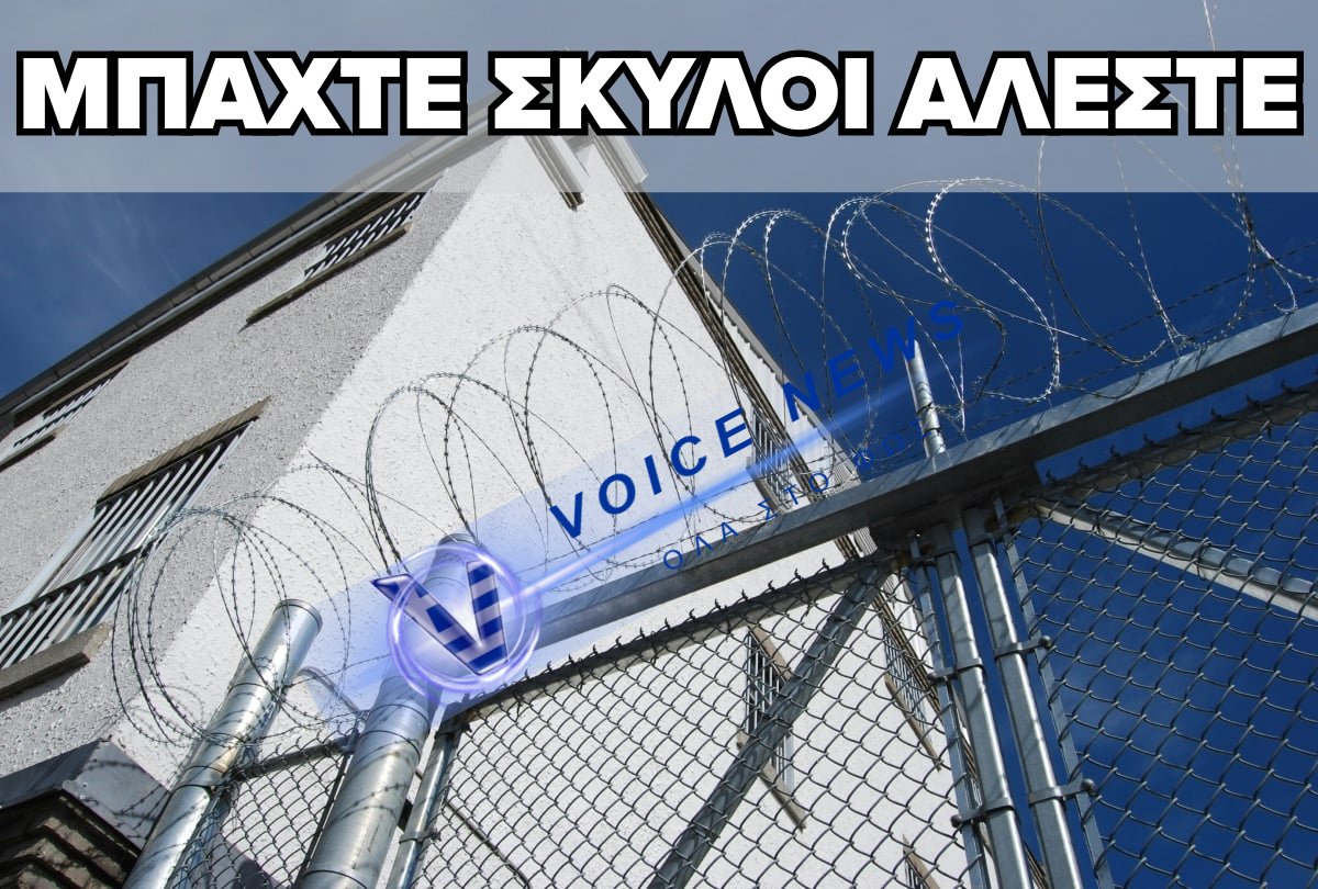 ΟΠΛΑ ΠΙΣΩ ΑΠΟ ΤΑ ΚΑΓΚΕΛΑ: ΤΟ ΧΡΟΝΙΚΟ ΤΩΝ ΕΥΡΗΜΑΤΩΝ ΣΤΙΣ ΕΛΛΗΝΙΚΕΣ ΦΥΛΑΚΕΣ