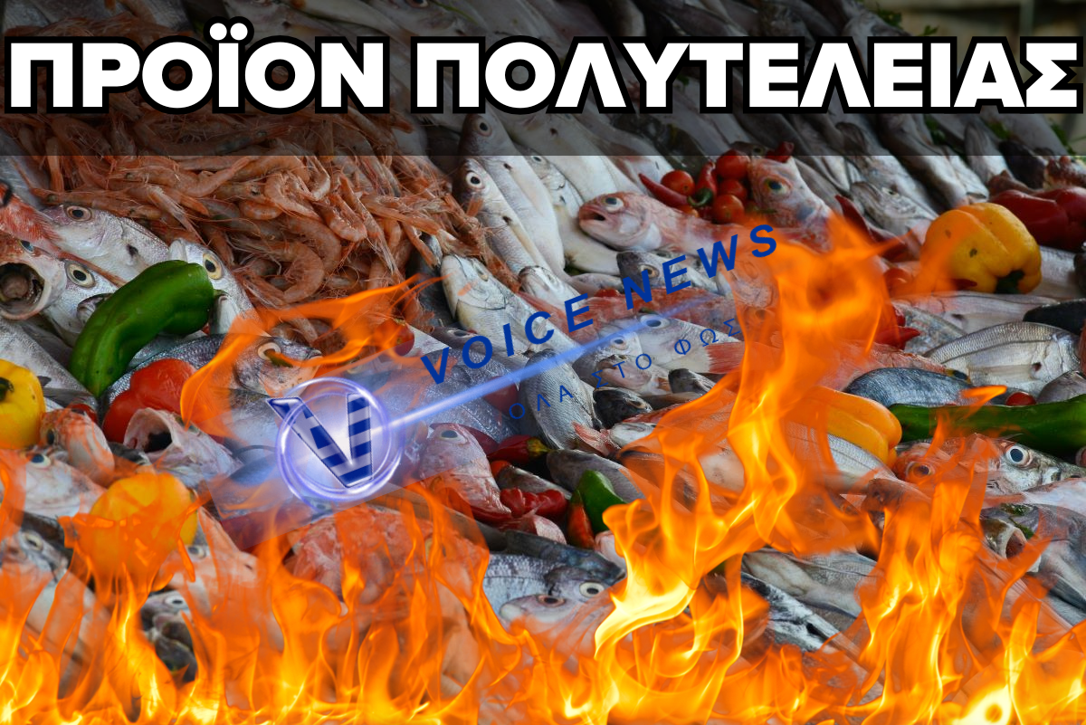 «ΦΩΤΙΑ ΚΑΙ ΛΑΒΡΑ» ΤΑ ΘΑΛΑΣΣΙΝΑ – ΑΠΛΗΣΙΑΣΤΟ ΤΟ ΣΑΡΑΚΟΣΤΙΑΝΟ ΤΡΑΠΕΖΙ