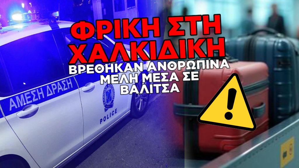 ΦΡΙΚΗ ΣΤΗ ΧΑΛΚΙΔΙΚΗ – ΒΡΕΘΗΚΑΝ ΜΕΛΗ ΑΝΘΡΩΠΙΝΟΥ ΣΩΜΑΤΟΣ ΣΕ ΒΑΛΙΤΣΑ