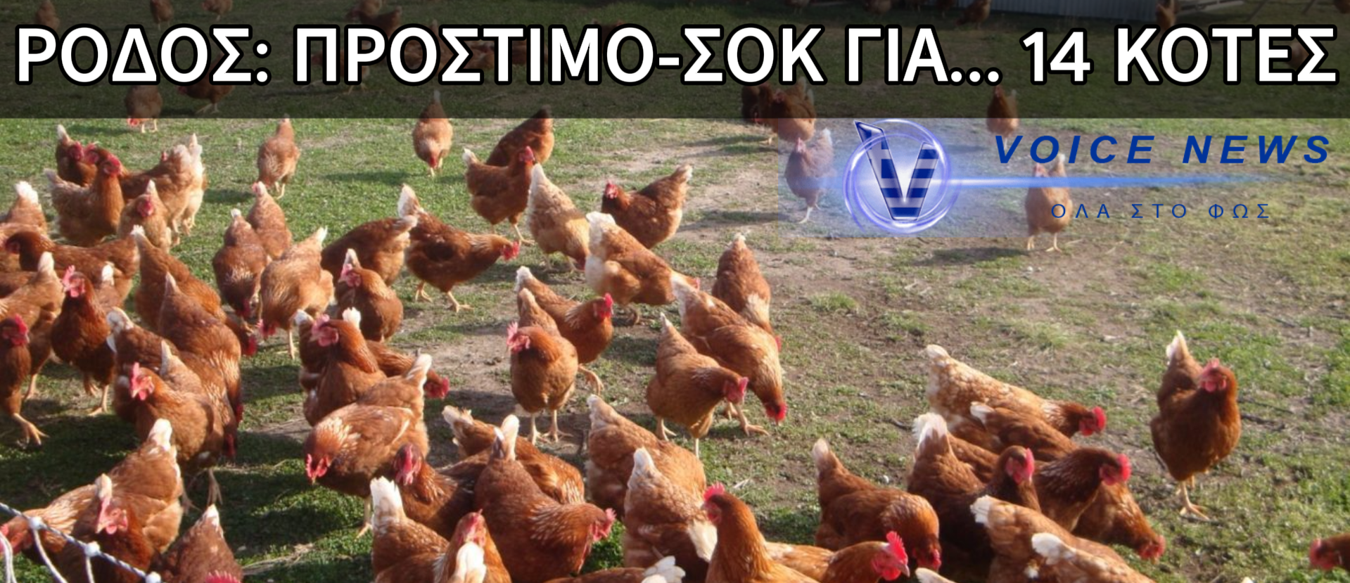ΣΚΟΤΩΣΕ 14 ΚΟΤΕΣ ΚΑΙ ΤΟΥ ΕΠΕΒΑΛΛΑΝ ΠΡΟΣΤΙΜΟ ΜΑΜΟΥΘ…700.000 ΕΥΡΩ!