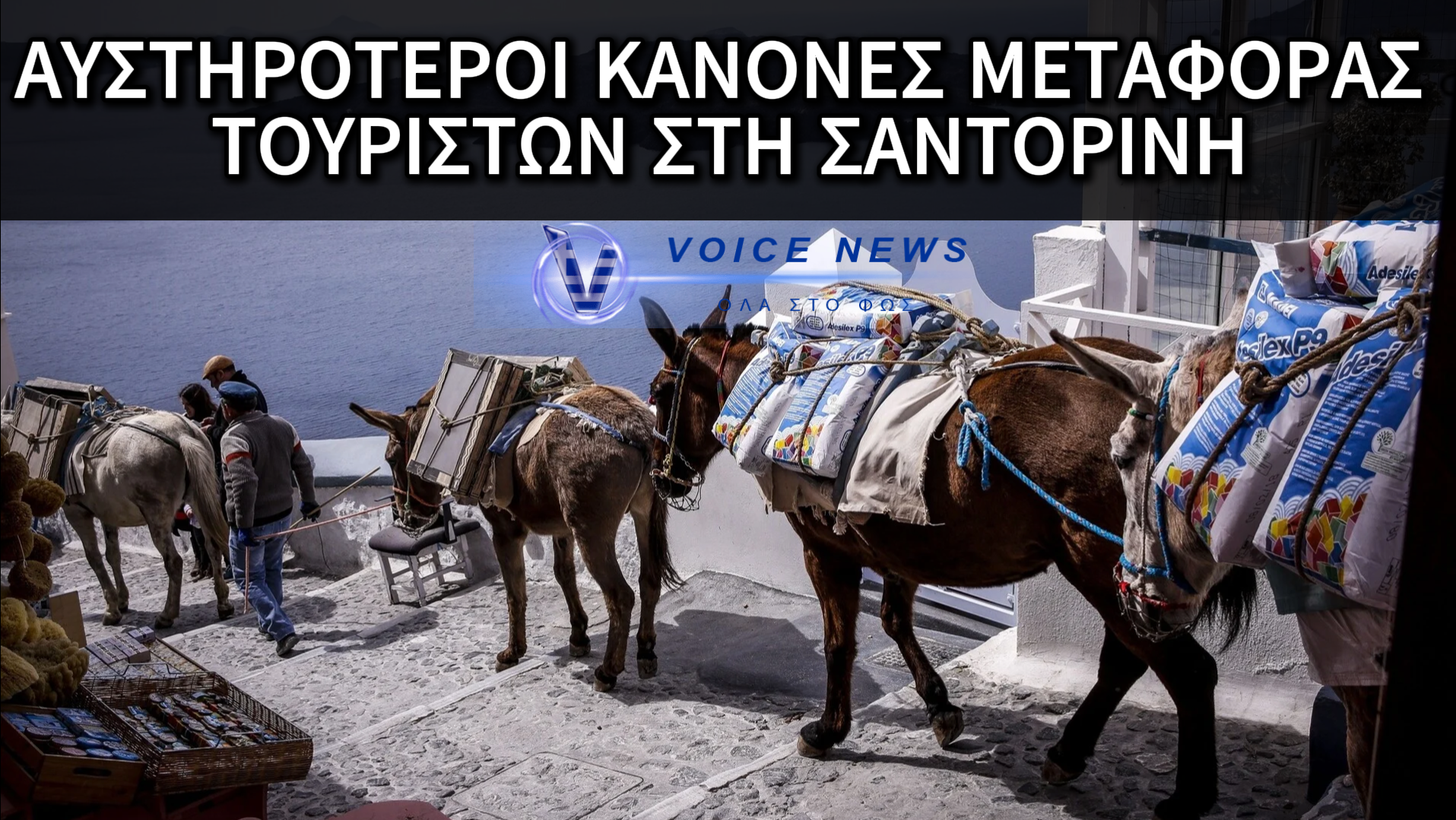 ΣΑΝΤΟΡΙΝΗ: ΤΕΛΟΣ ΣΤΙΣ ΜΕΤΑΦΟΡΕΣ ΜΕ ΓΑΪΔΟΥΡΙΑ ΓΙΑ ΟΣΟΥΣ ΖΥΓΙΖΟΥΝ ΠΑΝΩ ΑΠΟ 100kg