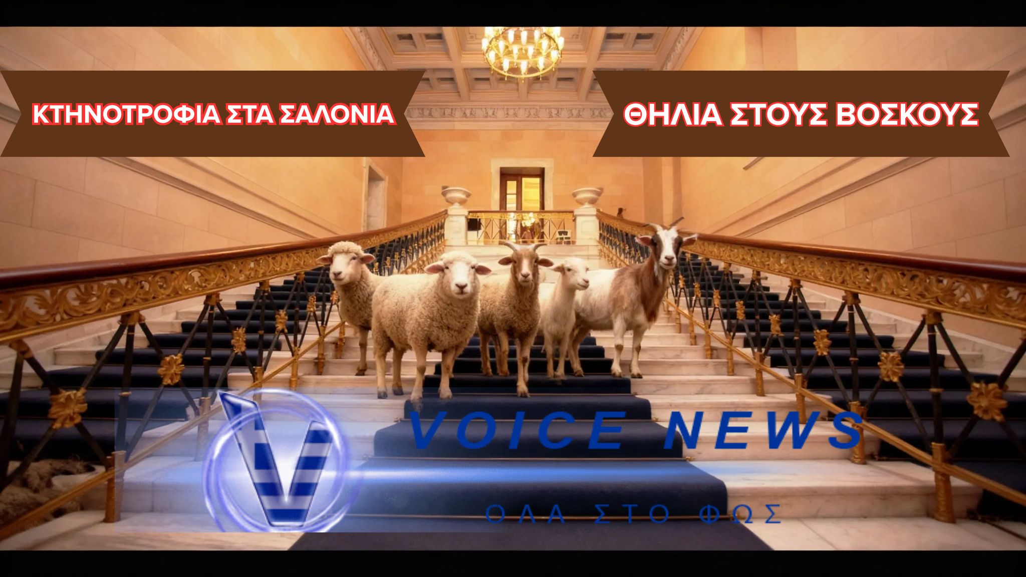 (ΒΙΝΤΕΟ) “ΣΚΙΖΕΙ” Η ΠΟΛΙΤΙΚΗ ΣΤΗΝ ΚΤΗΝΟΤΡΟΦΙΑ-ΣΥΛΛΗΨΗ ΚΤΗΝΟΤΡΟΦΩΝ ΓΙΑ ΕΛΕΥΘΕΡΗ ΒΟΣΚΗΣΗ