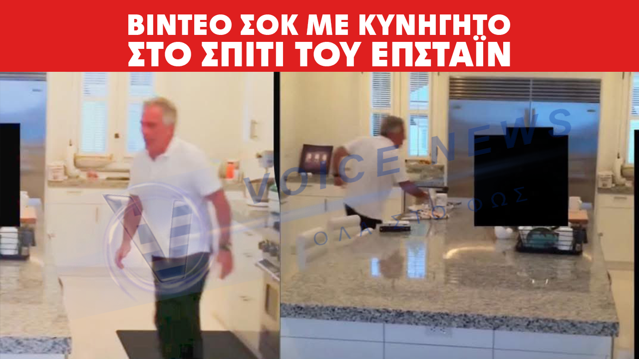 ΒΙΝΤΕΟ ΣΟΚ ΜΕ ΚΥΝΗΓΗΤΟ ΣΤΟ ΣΠΙΤΙ ΤΟΥ ΕΠΣΤΑΪΝ