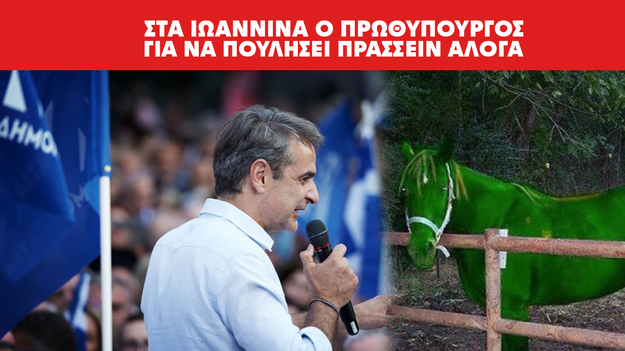 ΣΤΑ ΙΩΑΝΝΙΝΑ Ο ΠΡΩΘΥΠΟΥΡΓΟΣ ΓΙΑ ΝΑ ΠΟΥΛΗΣΕΙ ΠΡΑΣΣΕΙΝ ΑΛΟΓΑ