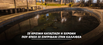 Thumbnail for ΚΑΛΛΙΘΕΑ: ΣΕ ΚΡΙΣΙΜΗ ΚΑΤΑΣΤΑΣΗ Η 5ΧΡΟΝΗ ΠΟΥ ΜΑΧΕΤΑΙ ΓΙΑ ΤΗ ΖΩΗ ΤΗΣ ΜΕΤΑ ΑΠΟ ΠΤΩΣΗ ΣΕ ΣΙΝΤΡΙΒΑΝΙ – ΕΠΑΝΗΛΘΕ ΣΤΟ ΝΟΣΟΚΟΜΕΙΟ