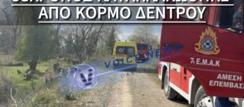 «ΘΡΗΝΟΣ» ΣΤΗ ΛΑΜΙΑ: ΝΕΚΡΟΣ ΑΝΔΡΑΣ ΠΟΥ ΚΑΤΑΠΛΑΚΩΘΗΚΕ ΑΠΟ ΔΕΝΤΡΟ