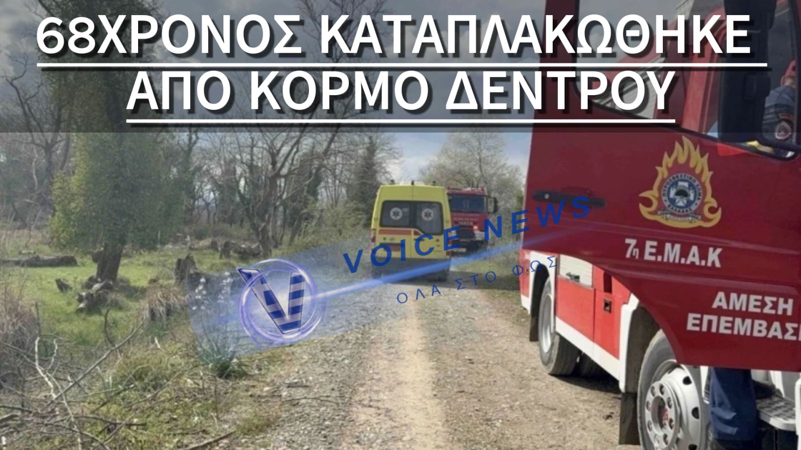 «ΘΡΗΝΟΣ» ΣΤΗ ΛΑΜΙΑ: ΝΕΚΡΟΣ ΑΝΔΡΑΣ ΠΟΥ ΚΑΤΑΠΛΑΚΩΘΗΚΕ ΑΠΟ ΔΕΝΤΡΟ