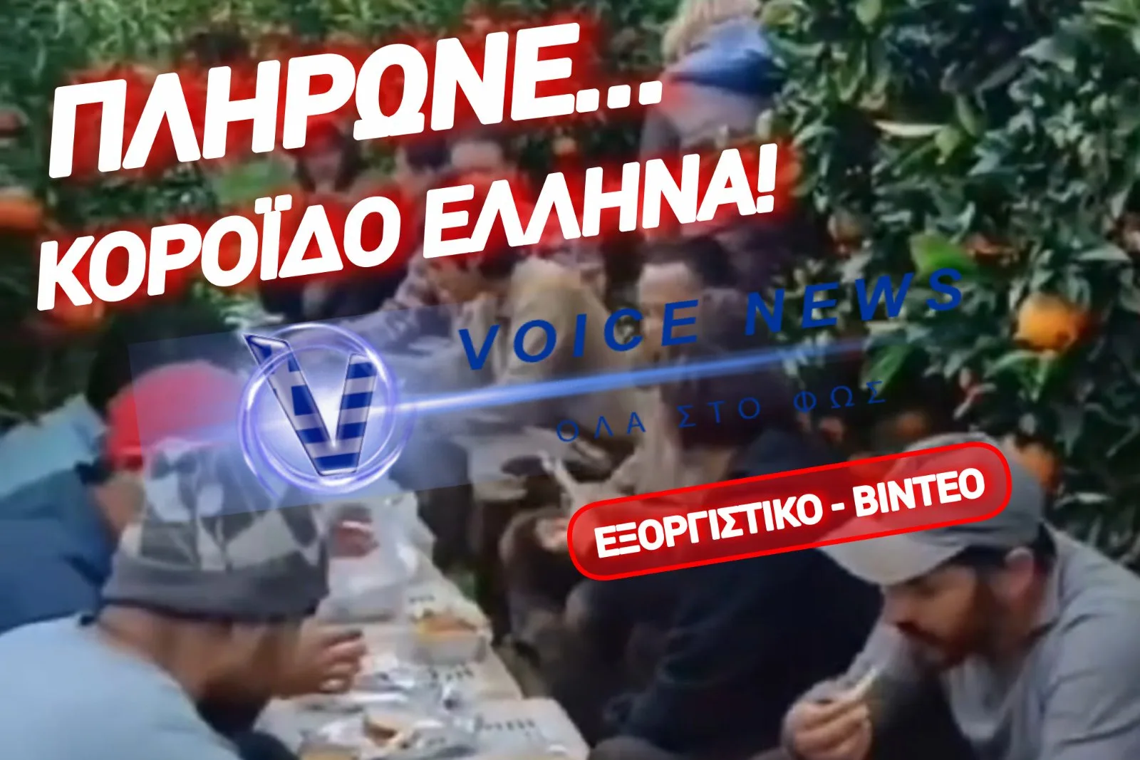 ΛΑΘΡΟΜΕΤΑΝΑΣΤΕΣ ΤΟ ΔΙΑΦΗΜΙΖΟΥΝ ΠΑΝΤΟΥ «ΕΛΑΤΕ ΣΤΗΝ ΕΛΛΑΔΑ! ΠΑΙΡΝΟΥΜΕ ΕΠΙΔΟΜΑΤΑ ΚΑΙ ΜΗΝΙΑΤΙΚΟ ΜΑΥΡΑ» (ΒΙΝΤΕΟ)